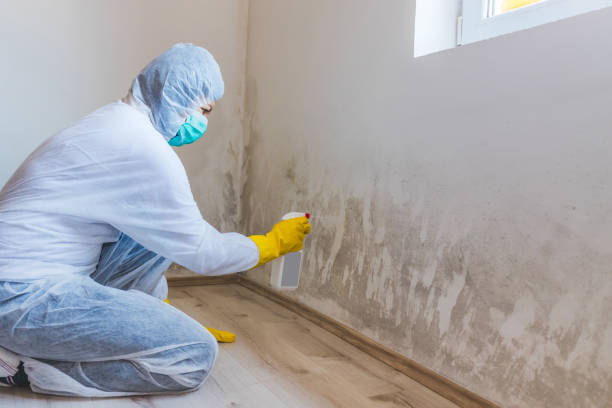 Licensed Commercial Mold Remediation service in Lithia, FL - WQB Mold Removal