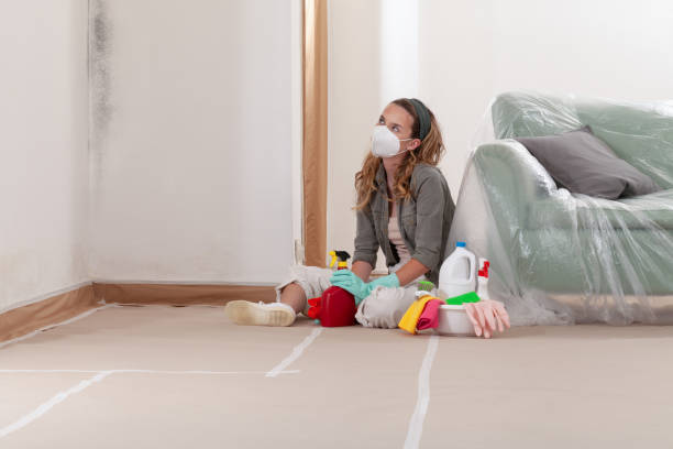 Reliable Commercial Mold Remediation contractor in Lithia, FL by WQB Mold Removal